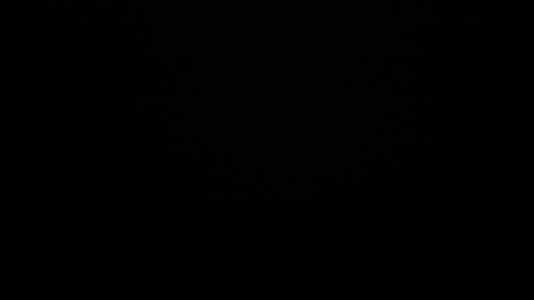 Dieses Bild zeigt eine Webcam-Aufnahme vom Achertal, aufgenommen am Sonntag, den 16.11.2025 um 21:00 Uhr. Die Temperatur betrug 5.9°C.