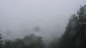 Dieses Bild zeigt eine Webcam-Aufnahme vom Achertal, aufgenommen am Freitag, den 12.06.2026 um 14:00 Uhr. Die Temperatur betrug 11.5°C.