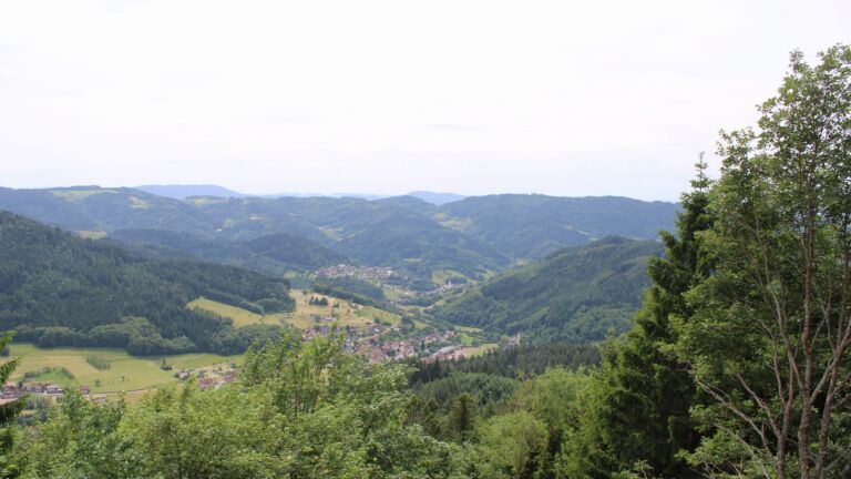 Dieses Bild zeigt eine Webcam-Aufnahme vom Achertal, aufgenommen am Montag, den 08.06.2026 um 14:30 Uhr. Die Temperatur betrug 24.2°C.