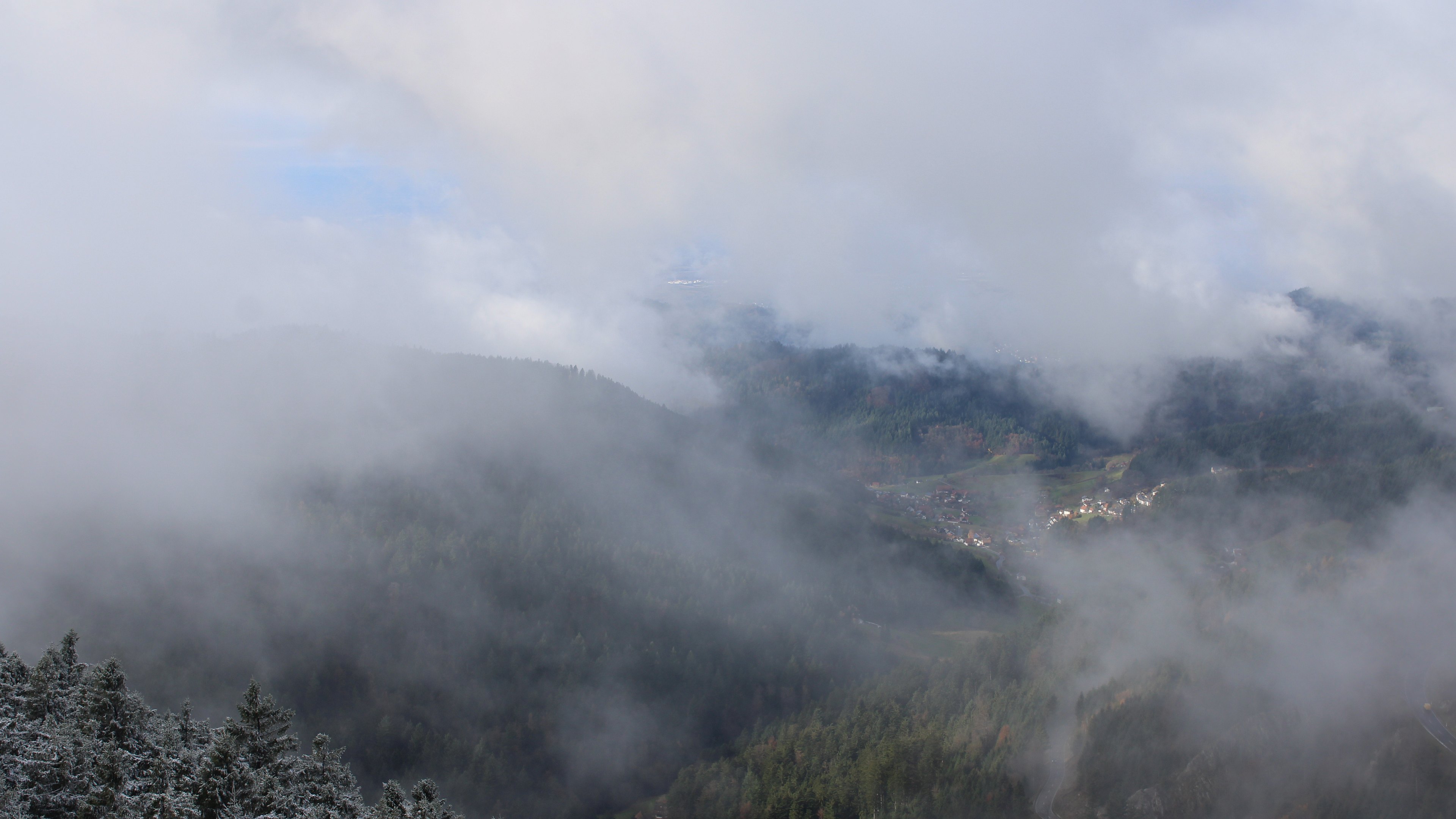 Zum Fotoarchiv vom Montag, 17. November 2025