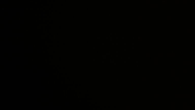 Dieses Bild zeigt eine Webcam-Aufnahme vom Achertal, aufgenommen am Samstag, den 25.10.2025 um 03:30 Uhr. Die Temperatur betrug 2.7°C.