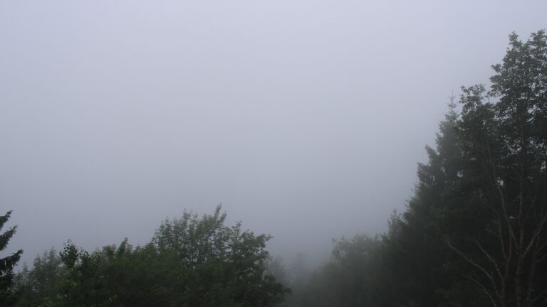 Dieses Bild zeigt eine Webcam-Aufnahme vom Achertal, aufgenommen am Mittwoch, den 01.07.2026 um 10:50 Uhr. Die Temperatur betrug 17.9°C.