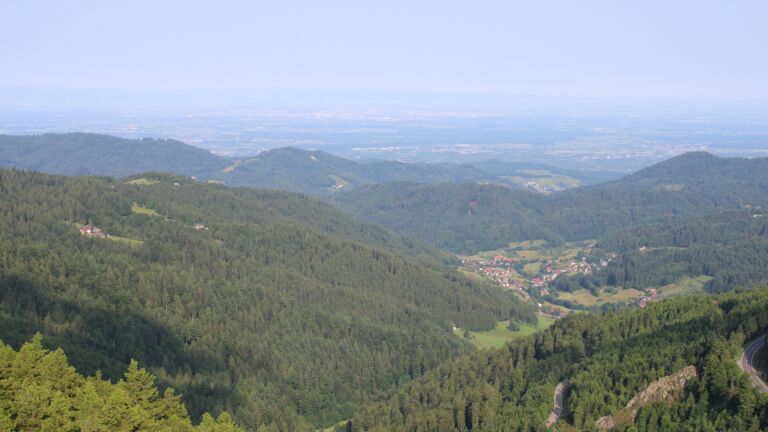 Dieses Bild zeigt eine Webcam-Aufnahme vom Achertal, aufgenommen am Montag, den 09.06.2025 um 08:30 Uhr. Die Temperatur betrug 12°C.