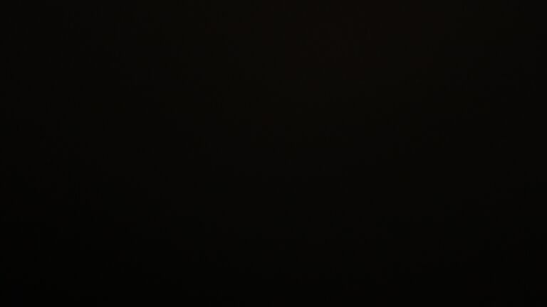 Dieses Bild zeigt eine Webcam-Aufnahme vom Achertal, aufgenommen am Samstag, den 21.02.2026 um 19:20 Uhr. Die Temperatur betrug 4.2°C.