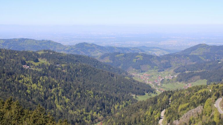 Dieses Bild zeigt eine Webcam-Aufnahme vom Achertal, aufgenommen am Samstag, den 25.04.2026 um 12:00 Uhr. Die Temperatur betrug 13.9°C.