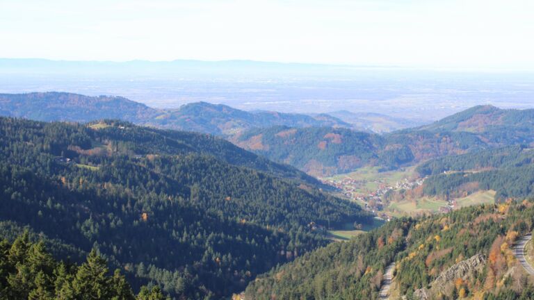 Dieses Bild zeigt eine Webcam-Aufnahme vom Achertal, aufgenommen am Dienstag, den 04.11.2025 um 11:40 Uhr. Die Temperatur betrug 11.3°C.