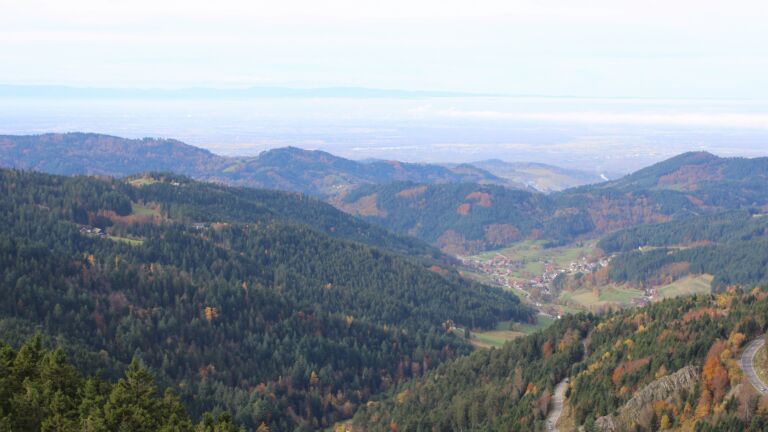 Dieses Bild zeigt eine Webcam-Aufnahme vom Achertal, aufgenommen am Freitag, den 31.10.2025 um 11:20 Uhr. Die Temperatur betrug 10°C.