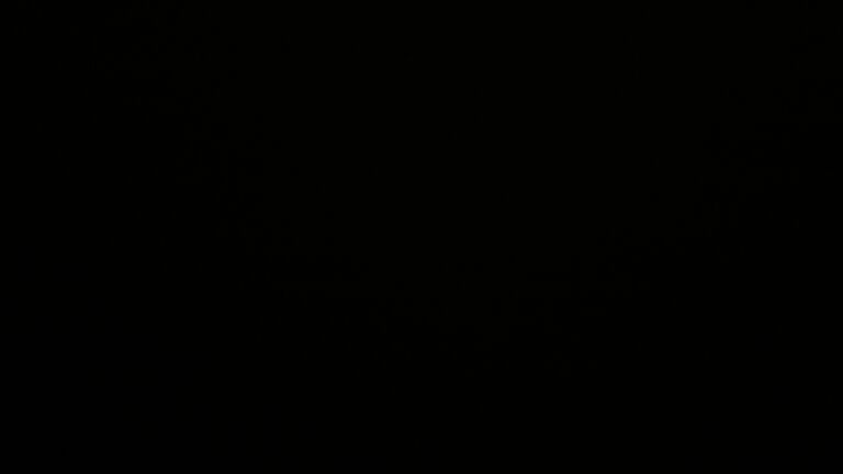 Dieses Bild zeigt eine Webcam-Aufnahme vom Achertal, aufgenommen am Montag, den 22.09.2025 um 01:30 Uhr. Die Temperatur betrug 7.1°C.