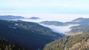 Dieses Bild zeigt eine Webcam-Aufnahme vom Achertal, aufgenommen am Freitag, den 23.01.2026 um 10:40 Uhr. Die Temperatur betrug 5.6°C.