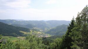 Dieses Bild zeigt eine Webcam-Aufnahme vom Achertal, aufgenommen am Dienstag, den 16.06.2026 um 17:20 Uhr. Die Temperatur betrug 22.2°C.