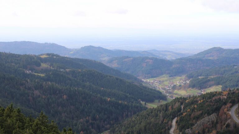 Dieses Bild zeigt eine Webcam-Aufnahme vom Achertal, aufgenommen am Dienstag, den 11.11.2025 um 13:50 Uhr. Die Temperatur betrug 8.1°C.