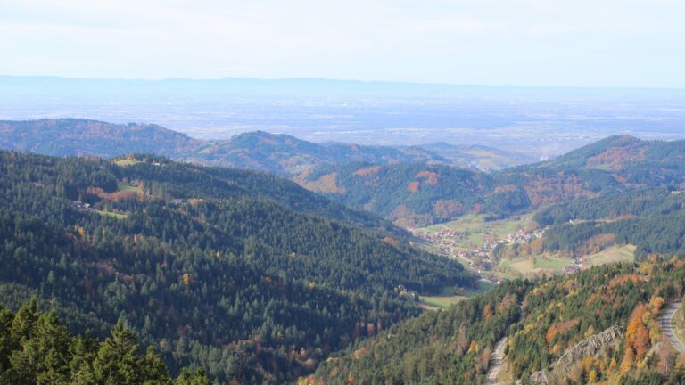 Dieses Bild zeigt eine Webcam-Aufnahme vom Achertal, aufgenommen am Mittwoch, den 29.10.2025 um 11:50 Uhr. Die Temperatur betrug 11.4°C.