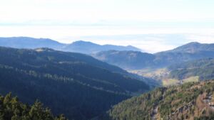 Dieses Bild zeigt eine Webcam-Aufnahme vom Achertal, aufgenommen am Mittwoch, den 03.12.2025 um 13:50 Uhr. Die Temperatur betrug 5.9°C.