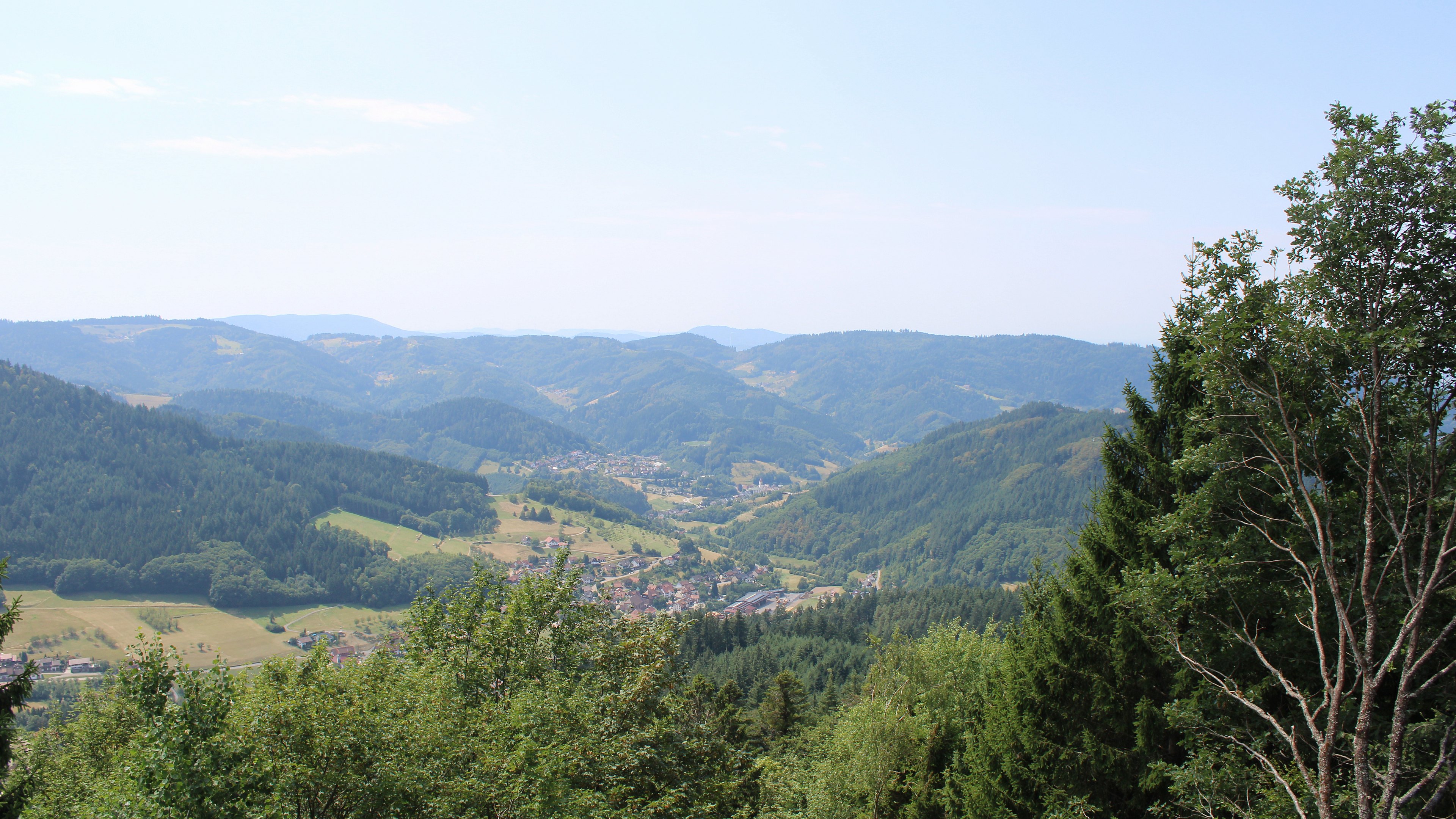 Zum Fotoarchiv vom Montag, 3. August 2026