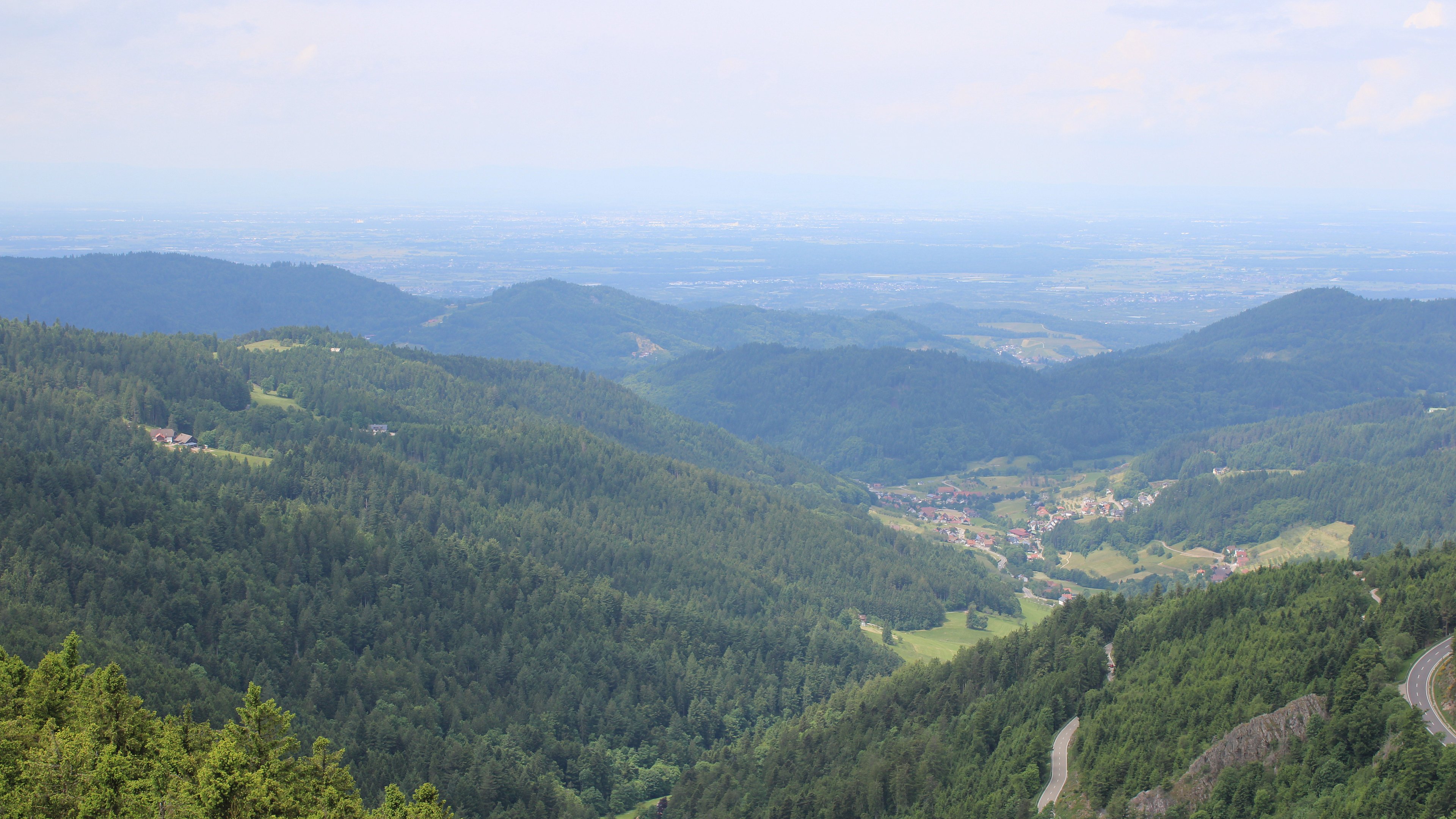Zum Fotoarchiv vom Sonntag, 1. Juni 2025