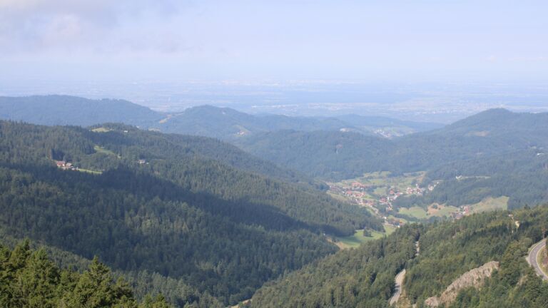 Dieses Bild zeigt eine Webcam-Aufnahme vom Achertal, aufgenommen am Freitag, den 22.08.2025 um 10:50 Uhr. Die Temperatur betrug 16.3°C.