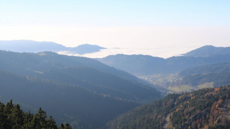 Dieses Bild zeigt eine Webcam-Aufnahme vom Achertal, aufgenommen am Samstag, den 08.11.2025 um 14:40 Uhr. Die Temperatur betrug 10.8°C.