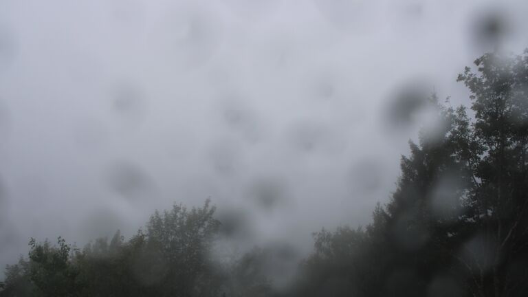 Dieses Bild zeigt eine Webcam-Aufnahme vom Achertal, aufgenommen am Mittwoch, den 16.09.2026 um 12:50 Uhr. Die Temperatur betrug 13.1°C.