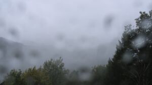 Dieses Bild zeigt eine Webcam-Aufnahme vom Achertal, aufgenommen am Samstag, den 17.10.2026 um 12:30 Uhr. Die Temperatur betrug 8.9°C.
