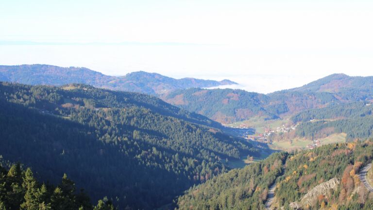 Dieses Bild zeigt eine Webcam-Aufnahme vom Achertal, aufgenommen am Freitag, den 07.11.2025 um 09:50 Uhr. Die Temperatur betrug 10.7°C.