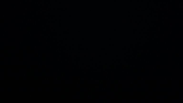 Dieses Bild zeigt eine Webcam-Aufnahme vom Achertal, aufgenommen am Mittwoch, den 28.05.2025 um 23:00 Uhr. Die Temperatur betrug 9.1°C.