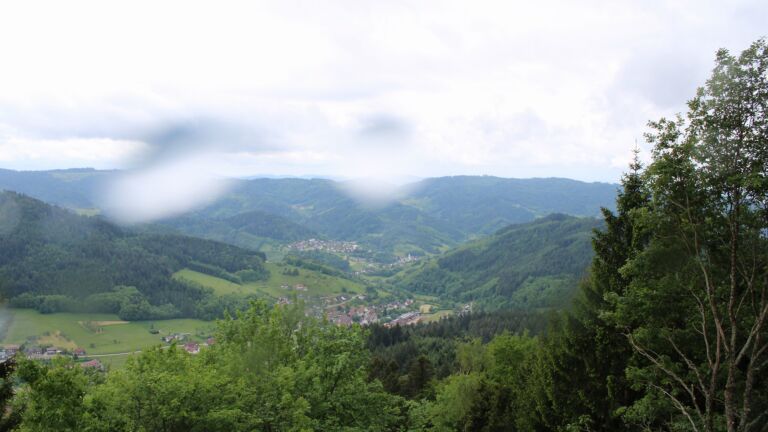Dieses Bild zeigt eine Webcam-Aufnahme vom Achertal, aufgenommen am Mittwoch, den 20.05.2026 um 11:40 Uhr. Die Temperatur betrug 11.3°C.