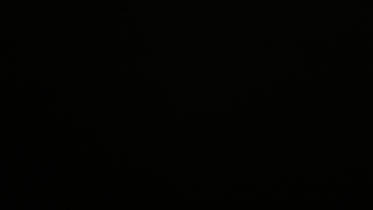 Dieses Bild zeigt eine Webcam-Aufnahme vom Achertal, aufgenommen am Dienstag, den 03.06.2025 um 01:30 Uhr. Die Temperatur betrug 10.7°C.