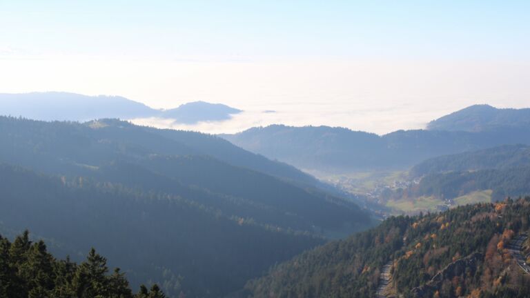 Dieses Bild zeigt eine Webcam-Aufnahme vom Achertal, aufgenommen am Samstag, den 08.11.2025 um 14:50 Uhr. Die Temperatur betrug 10.8°C.