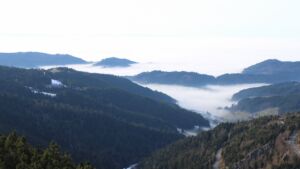 Dieses Bild zeigt eine Webcam-Aufnahme vom Achertal, aufgenommen am Mittwoch, den 21.01.2026 um 14:20 Uhr. Die Temperatur betrug 7.4°C.