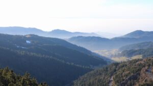 Dieses Bild zeigt eine Webcam-Aufnahme vom Achertal, aufgenommen am Donnerstag, den 05.02.2026 um 16:00 Uhr. Die Temperatur betrug 5.9°C.