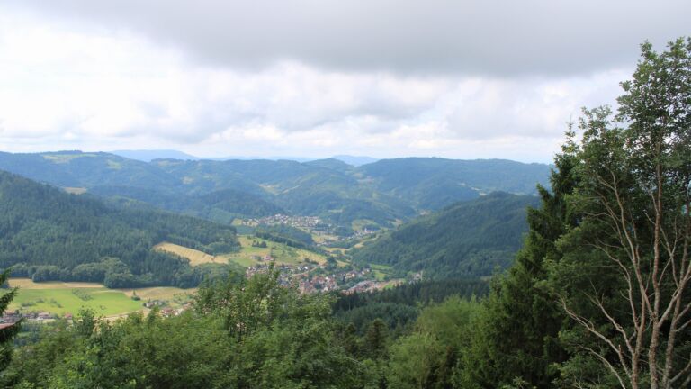 Dieses Bild zeigt eine Webcam-Aufnahme vom Achertal, aufgenommen am Montag, den 29.06.2026 um 11:20 Uhr. Die Temperatur betrug 22.1°C.