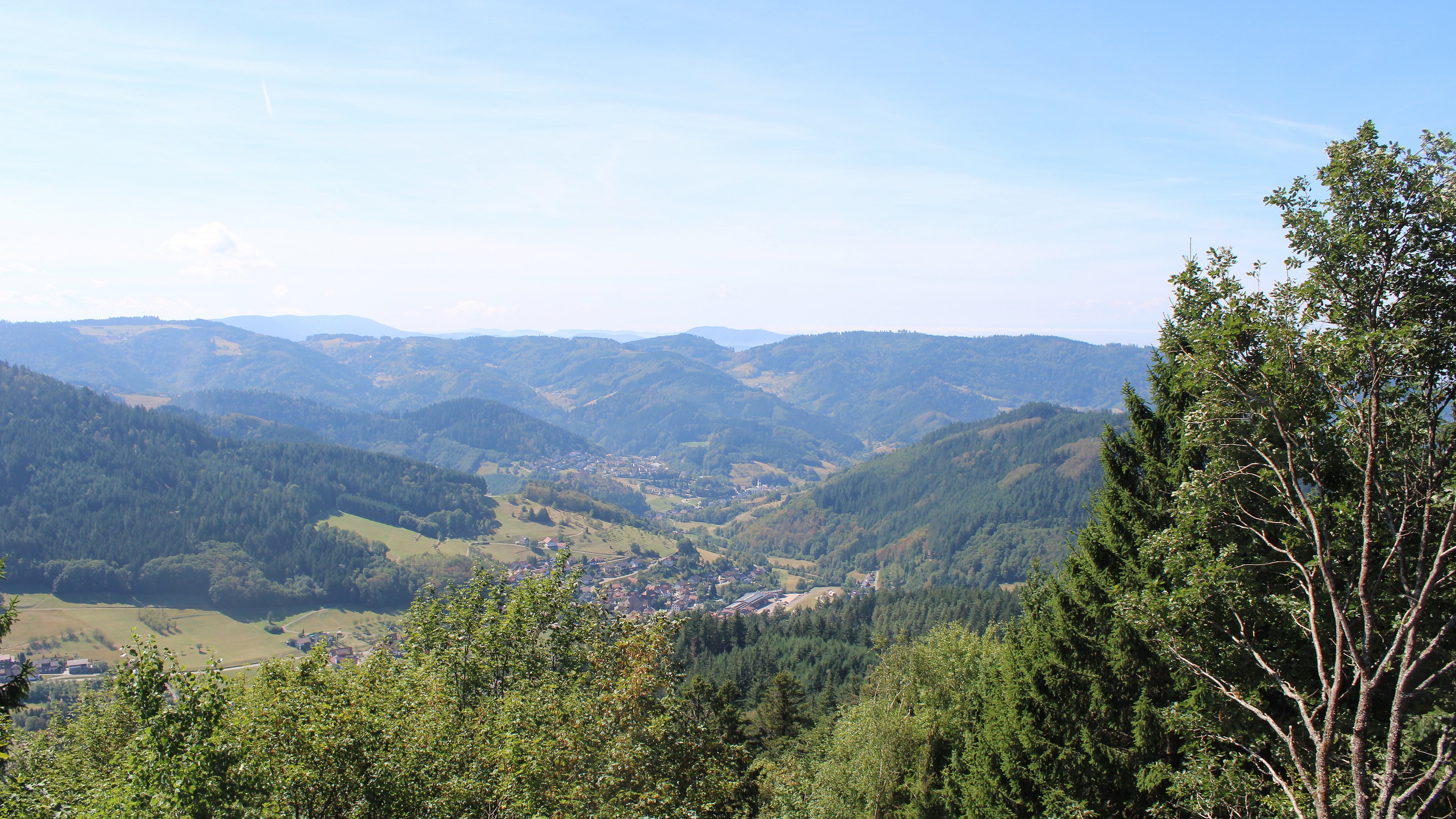 Zum Fotoarchiv vom Mittwoch, 26. August 2026