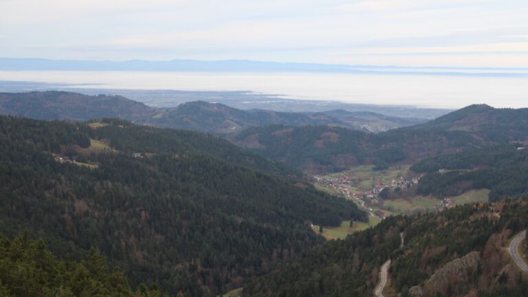 Dieses Bild zeigt eine Webcam-Aufnahme vom Achertal, aufgenommen am Sonntag, den 16.11.2025 um 08:30 Uhr. Die Temperatur betrug 8.6°C.