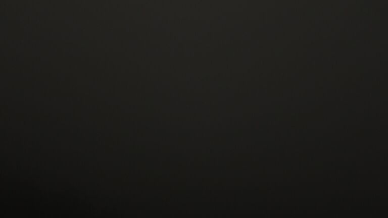 Dieses Bild zeigt eine Webcam-Aufnahme vom Achertal, aufgenommen am Dienstag, den 27.01.2026 um 22:30 Uhr. Die Temperatur betrug 2.8°C.