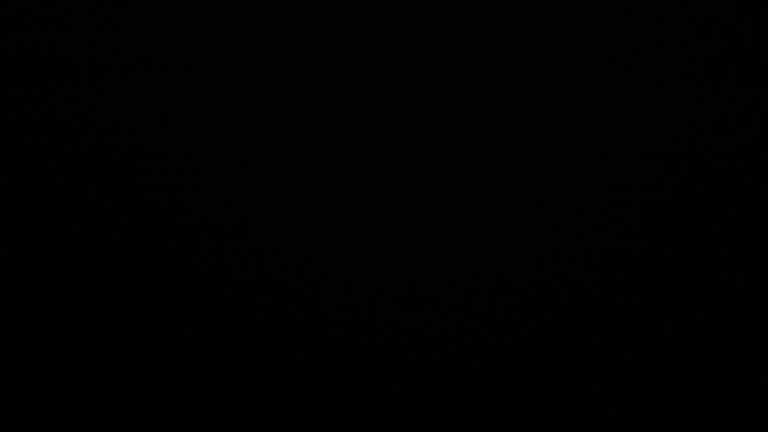 Dieses Bild zeigt eine Webcam-Aufnahme vom Achertal, aufgenommen am Sonntag, den 07.12.2025 um 19:00 Uhr. Die Temperatur betrug 6.8°C.