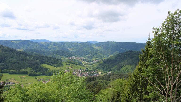 Dieses Bild zeigt eine Webcam-Aufnahme vom Achertal, aufgenommen am Dienstag, den 19.05.2026 um 11:30 Uhr. Die Temperatur betrug 14.7°C.