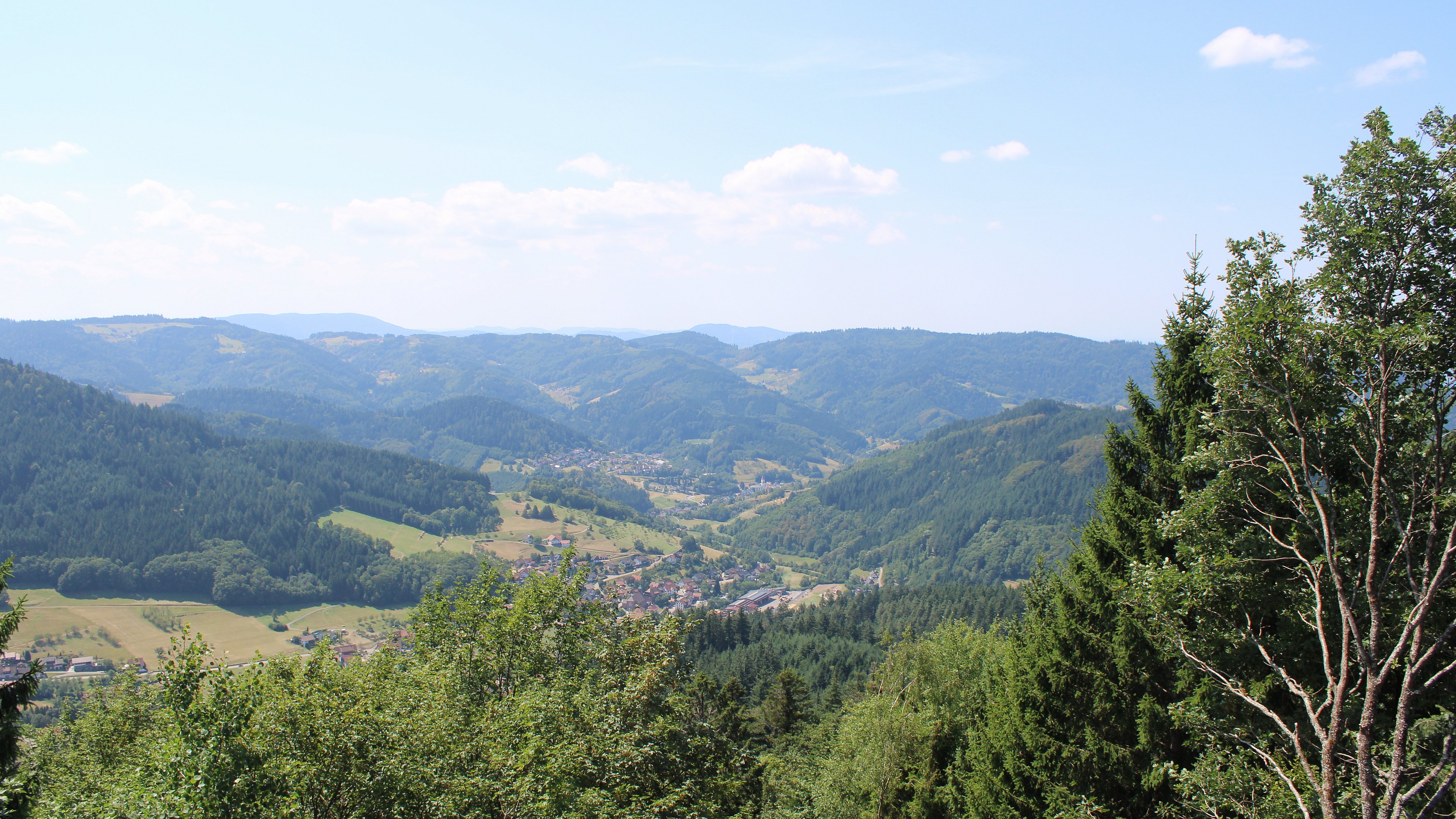 Zum Fotoarchiv vom Sonntag, 2. August 2026