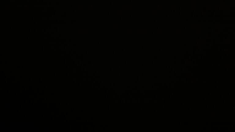 Dieses Bild zeigt eine Webcam-Aufnahme vom Achertal, aufgenommen am Mittwoch, den 22.10.2025 um 19:50 Uhr. Die Temperatur betrug 10.6°C.