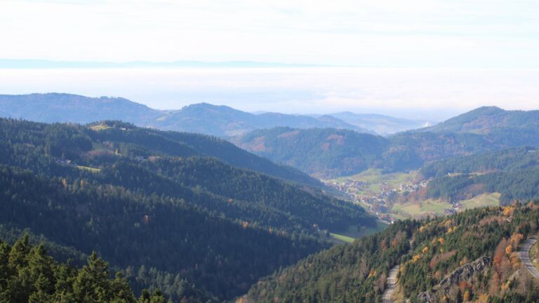 Dieses Bild zeigt eine Webcam-Aufnahme vom Achertal, aufgenommen am Donnerstag, den 06.11.2025 um 13:20 Uhr. Die Temperatur betrug 13.5°C.