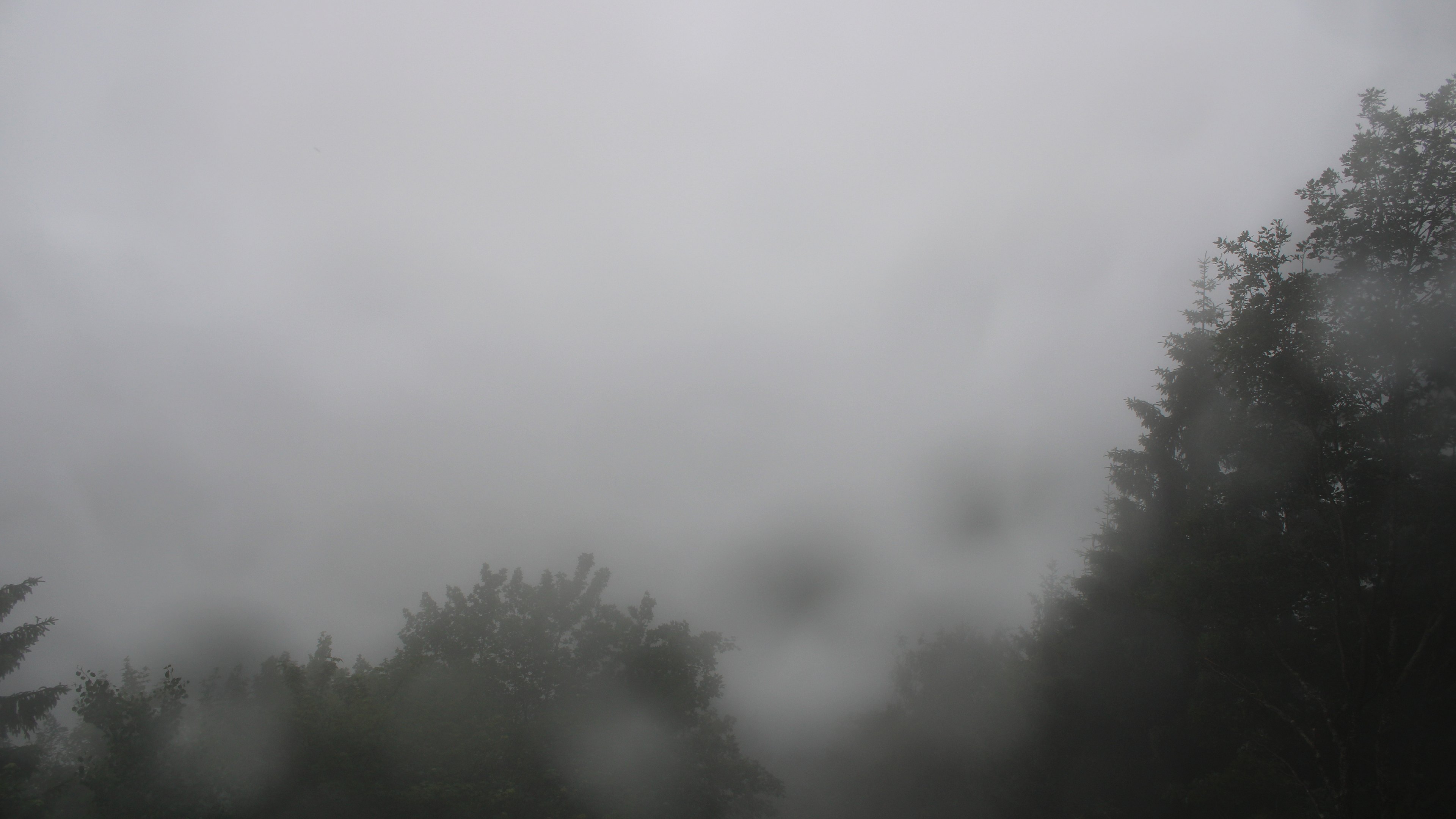 Dieses Bild zeigt eine Webcam-Aufnahme vom Achertal, aufgenommen am Freitag, den 12.06.2026 um 18:50 Uhr. Die Temperatur betrug 12.6°C.
