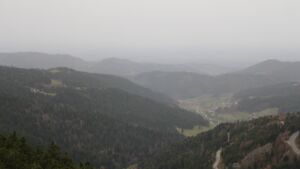 Dieses Bild zeigt eine Webcam-Aufnahme vom Achertal, aufgenommen am Freitag, den 14.11.2025 um 08:20 Uhr. Die Temperatur betrug 16.9°C.