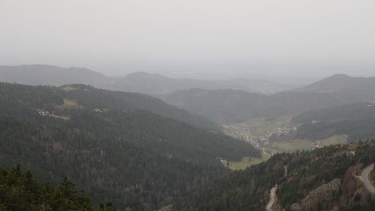 Dieses Bild zeigt eine Webcam-Aufnahme vom Achertal, aufgenommen am Freitag, den 14.11.2025 um 08:20 Uhr. Die Temperatur betrug 16.9°C.