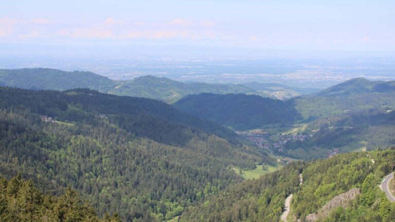 Dieses Bild zeigt eine Webcam-Aufnahme vom Achertal, aufgenommen am Montag, den 12.05.2025 um 11:30 Uhr. Die Temperatur betrug 14.8°C.