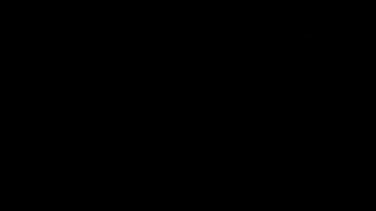 Dieses Bild zeigt eine Webcam-Aufnahme vom Achertal, aufgenommen am Montag, den 11.05.2026 um 02:00 Uhr. Die Temperatur betrug 8.9°C.