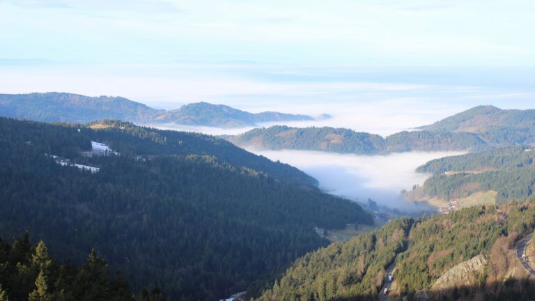 Dieses Bild zeigt eine Webcam-Aufnahme vom Achertal, aufgenommen am Freitag, den 23.01.2026 um 10:00 Uhr. Die Temperatur betrug 3.4°C.