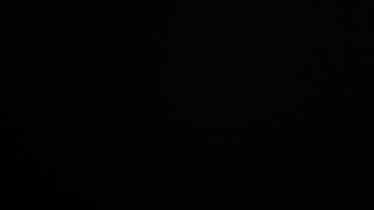 Dieses Bild zeigt eine Webcam-Aufnahme vom Achertal, aufgenommen am Donnerstag, den 23.10.2025 um 19:40 Uhr. Die Temperatur betrug 4°C.