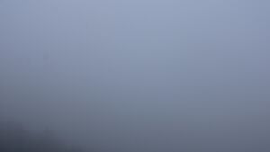 Dieses Bild zeigt eine Webcam-Aufnahme vom Achertal, aufgenommen am Freitag, den 06.02.2026 um 14:50 Uhr. Die Temperatur betrug 3.3°C.