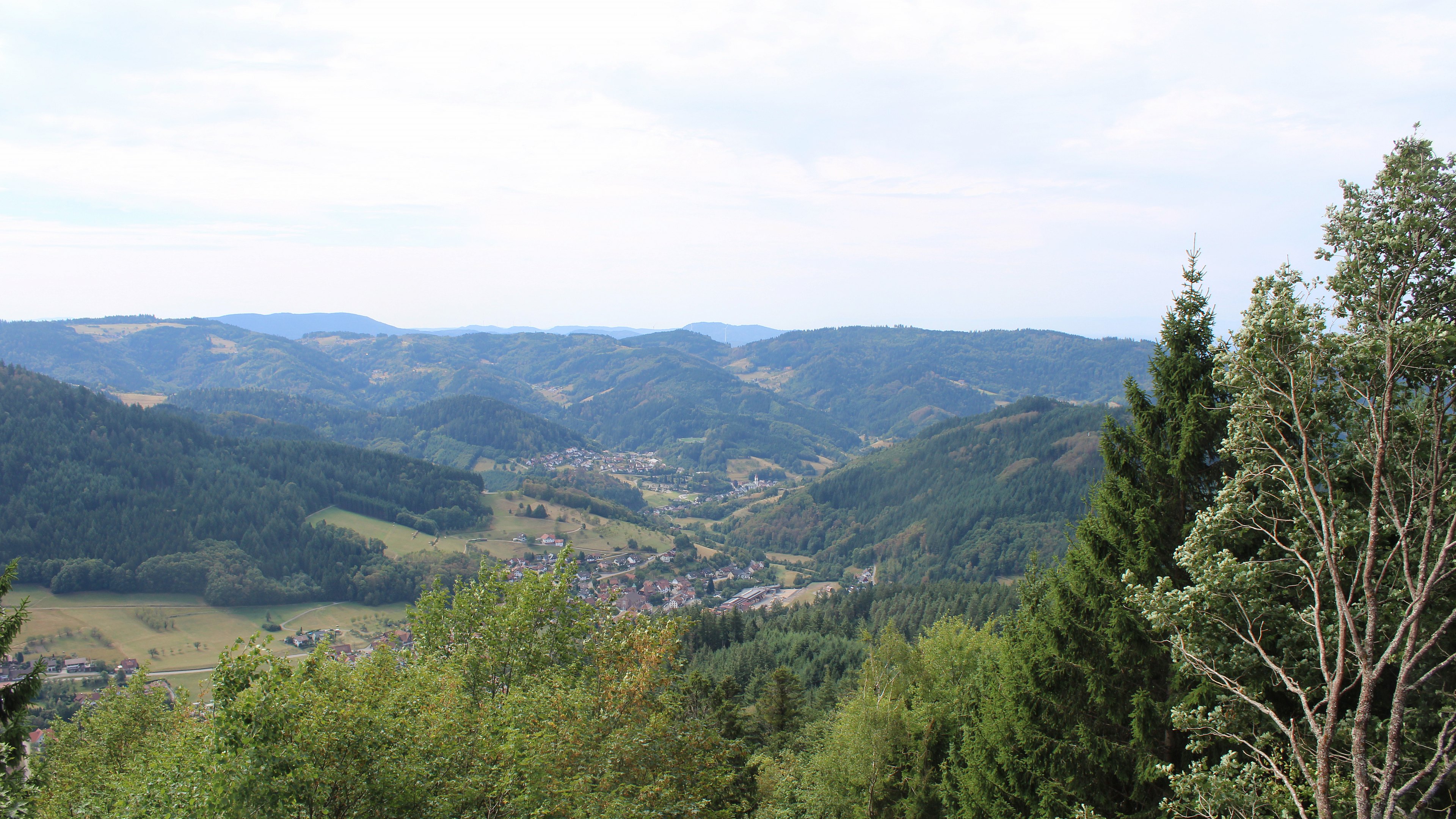 Zum Fotoarchiv vom Montag, 24. August 2026