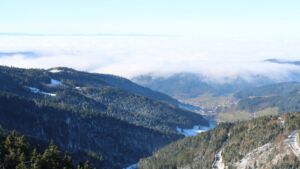 Dieses Bild zeigt eine Webcam-Aufnahme vom Achertal, aufgenommen am Samstag, den 22.11.2025 um 11:50 Uhr. Die Temperatur betrug -2.5°C.