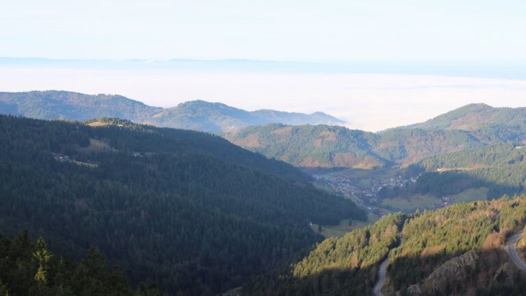 Dieses Bild zeigt eine Webcam-Aufnahme vom Achertal, aufgenommen am Sonntag, den 21.12.2025 um 09:50 Uhr. Die Temperatur betrug 6.1°C.